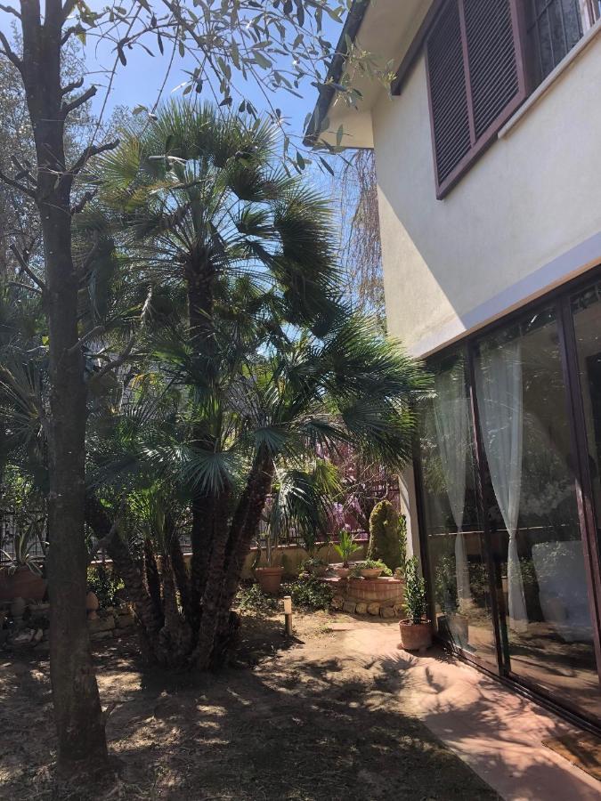 La Villa Bianca - Appartamento In Villa Сесто Фиорентино Екстериор снимка